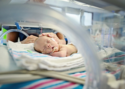 Hero Nicu Image 1